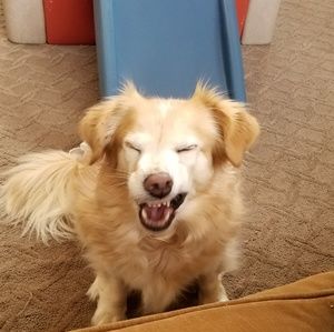 Meet your Posher, Marlene